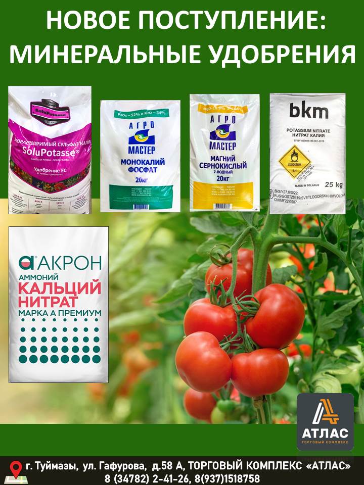 Сульфат калия, монокалий фосфат, магний сернокислый 7-водный, нитрат калия (БЕЛОРУСЬ), нитрат кальция 