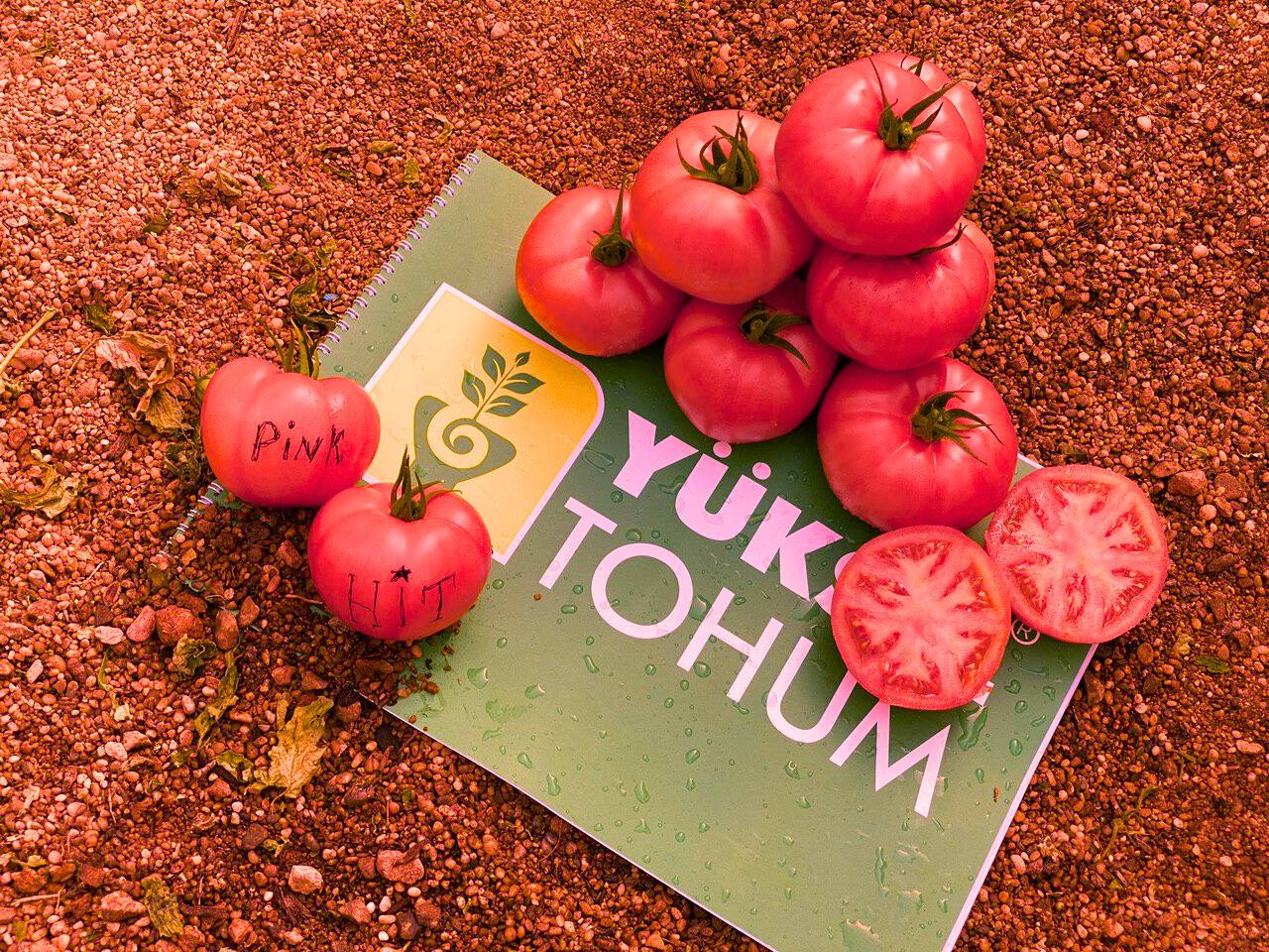 07bcb76f-6e33-40f9-94fd-6e86749610ea