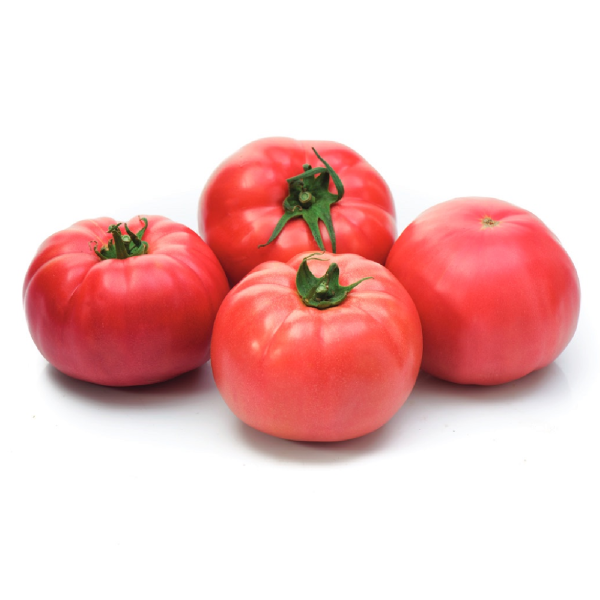 Сонароза_600х600_9BRr6aD