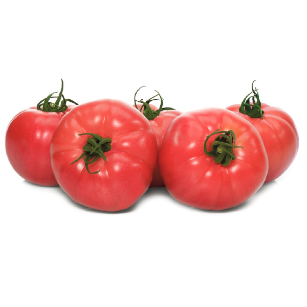 Эрай_600х600 (1)