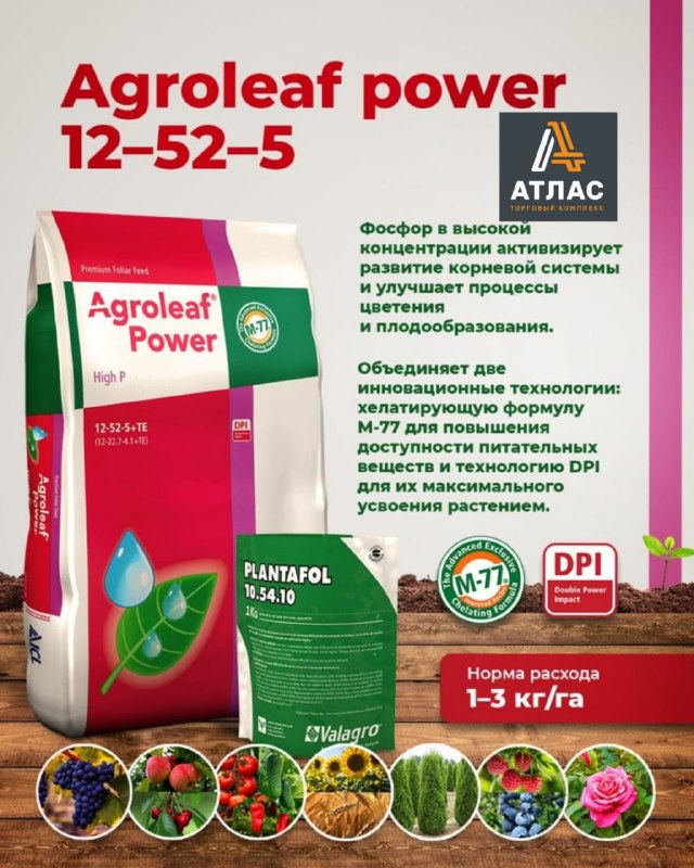 1a6197e1-1d3d-4da6-8d57-b6cf2fc88632