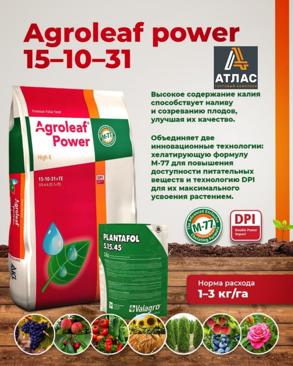 3dc2c227-02dc-47e9-85c8-724b6a1daa15