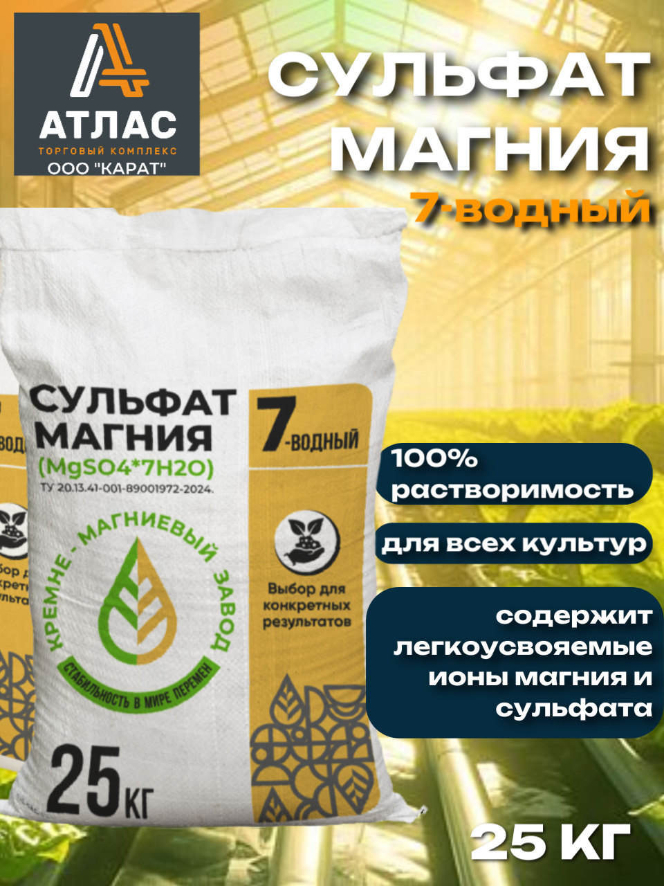 Копия Копия Копия Копия Копия Копия Копия Копия Копия Копия Копия Копия МАМЛЮК (10)