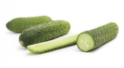 5b242ff7d552012a2b5688fa744e00fd