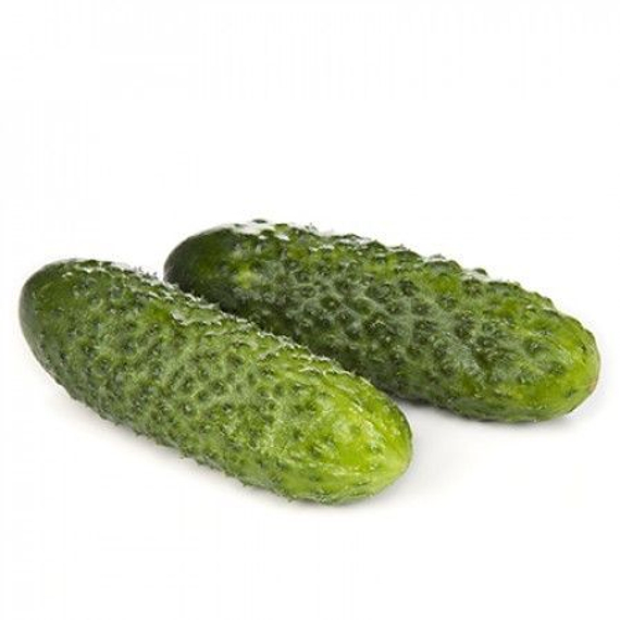 ЛИСТ_F1_семена_овощей_оптом